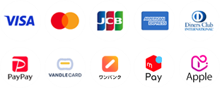 VISA/Master/JCB/AMEX/Diners/PayPay/バンドルカード/ワンバンク/メルペイ/Paidyアップル枠
